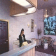 Anaheim Cortona Inn And Suites Hotel Picture 