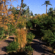 Les Deux Tours Palmeraie Hotel Marrakech Picture 