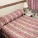 Riema Contemporaneo Flat Service Hotel Picture 