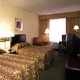 Wyndham Garden Atlanta Downtown Hotel Picture 