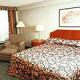 Crowne Plaza Toronto Airport Hotel Picture 