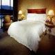 Westin Bayshore Resort And Marina Hotel Picture 