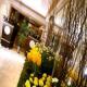 Boscolo Hotel Plaza Picture 