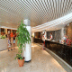 Griego Mar Hotel Picture 
