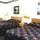 La Quinta Inn Tampa Near Busch Gardens Hotel Picture 