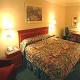 La Quinta Inn And Suites Usf Hotel Picture 
