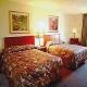 La Quinta Inn And Suites Usf Hotel Picture 
