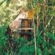 Bedarra Island Hotel Picture 