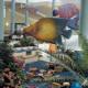 Daydream Island Resort And Spa Hotel Picture 