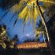 Lizard Island Hotel Picture 