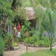 Orpheus Island Hotel Picture 