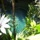 Daintree Cape Tribulation Heritage Lodge And Spa Hotel Picture 