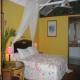 Daintree Wilderness Lodge Hotel Picture 