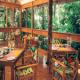 Daintree Wilderness Lodge Hotel Picture 