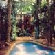 Daintree Wilderness Lodge Hotel Picture 
