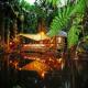 Daintree Eco Lodge And Spa Hotel Picture 