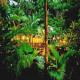 Daintree Eco Lodge And Spa Hotel Picture 