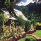 Ferntree Rainforest Lodge Hotel Picture 