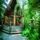 Ferntree Rainforest Lodge Hotel Picture 