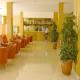 Bahia Tropical Hotel Picture 