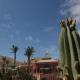 Esmeralda Maris Club De Bungalows Hotel Picture 