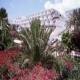 Stella Dunas Jandia Resort Hotel Picture 