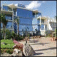 Costa Calma Palace Hotel Picture 