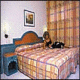 Duquesa Playa Hotel Picture 