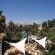 Alcudia Garden Hotel Picture 