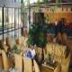 Colonia Sant Jordi Club Hotel Picture 