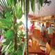 Hostal Jeni Hotel Picture 