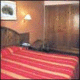 Pessets Hotel Picture 