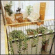 Hosteria Del Laurel Hotel Picture 