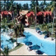 Caribe Club Princess Hotel Picture 