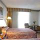 Holiday Inn Civic Center Hotel Picture 